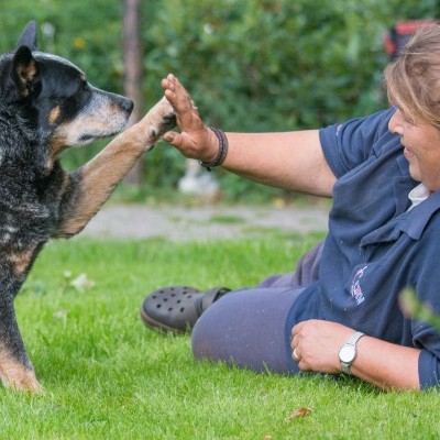 De Weiden coaching en begeleiding
