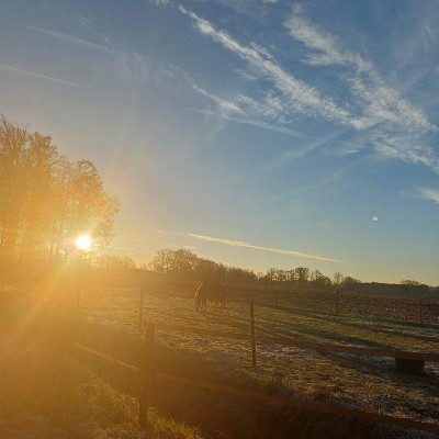 De wens van jouw ziel