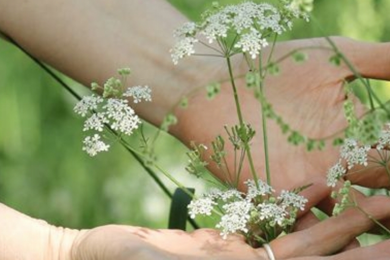 Chi Nei Tsang buikmassage Vitaliteit vanuit je buik