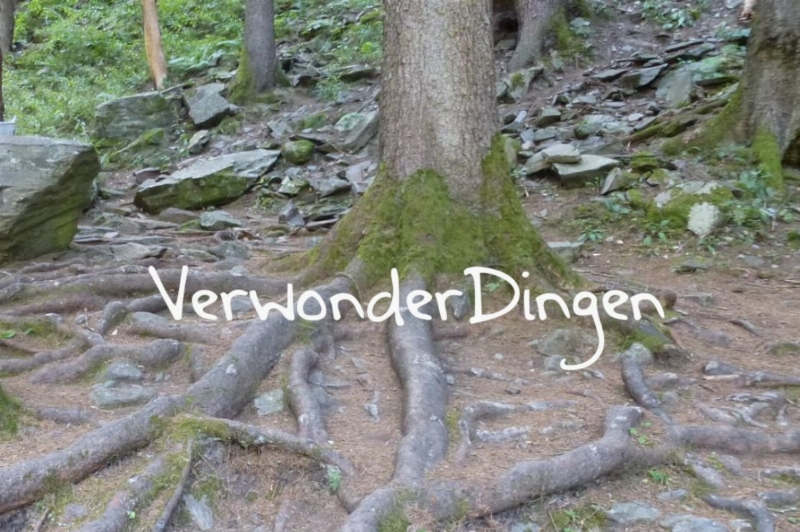 VerwonderWandelingen, Wandelen naar jezelf!