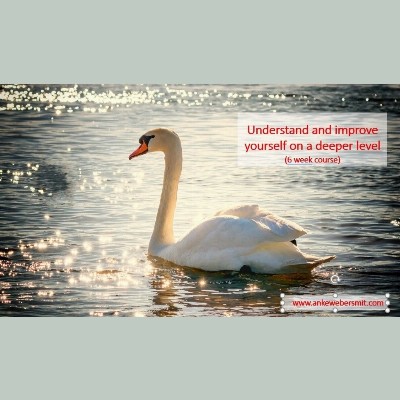 Anke Weber Smit Coaching & Ontwikkeling