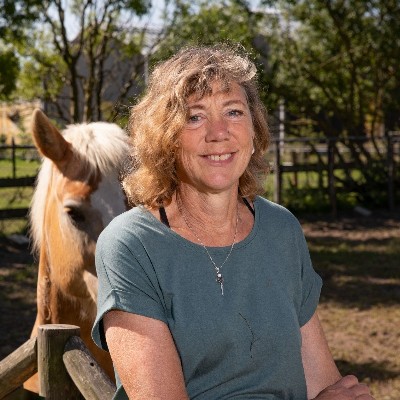 Paardencoach aan Zee | Stal Paradiso