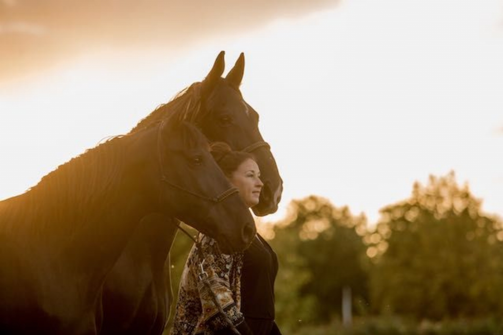 PLEQUE | Vrijplaats voor persoonlijke, professionele en spirituele groei met paarden
