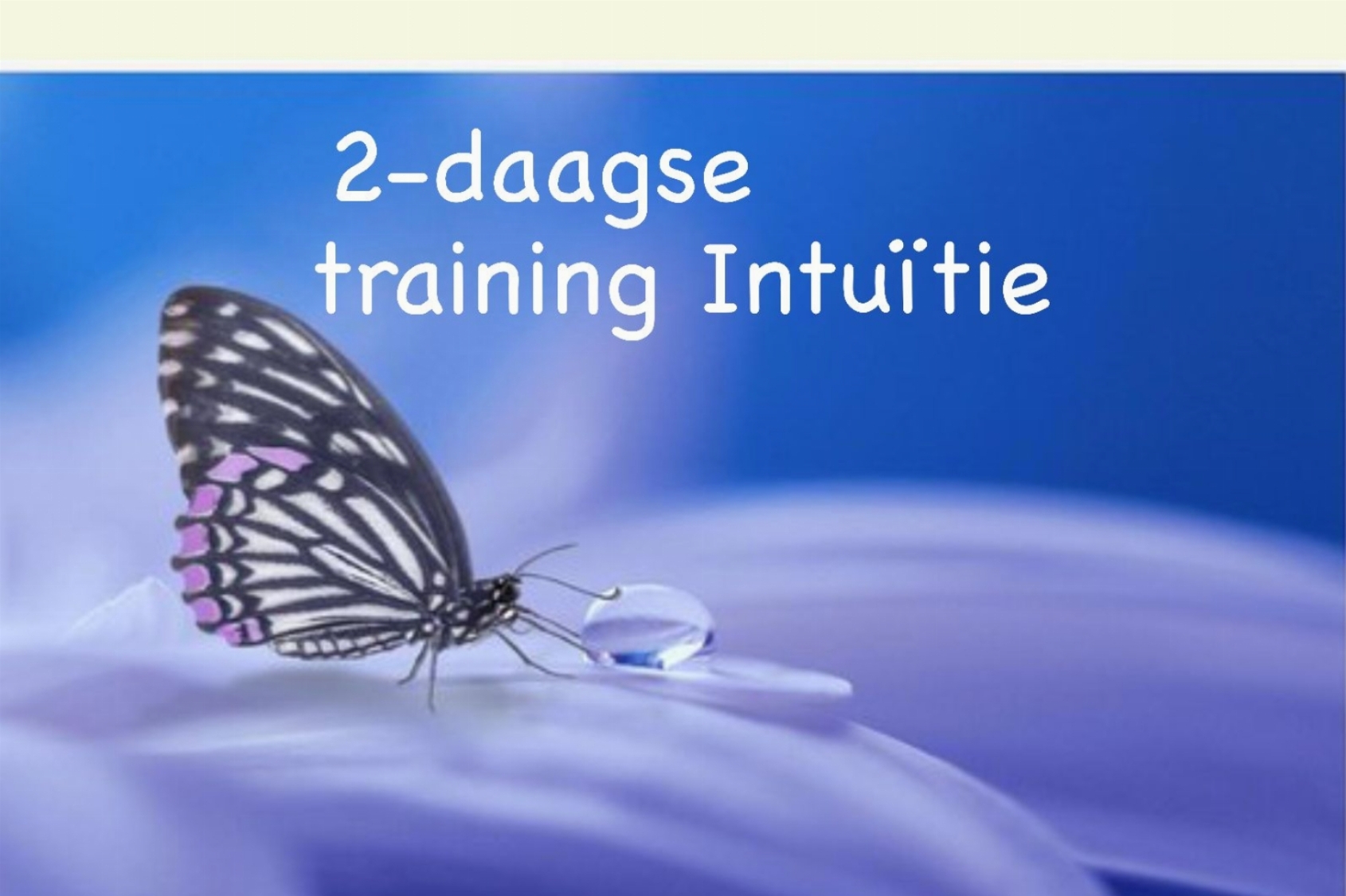 2-daagse training Intuïtieve Ontwikkeling