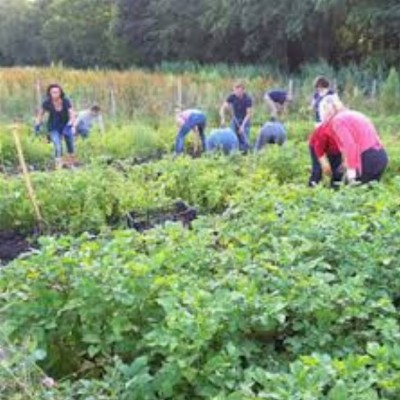 Stichting BuitenLeeft