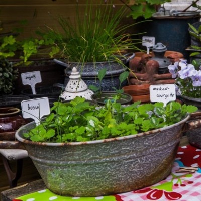 Moestuinieren aan de Keukentafel