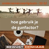 Ondernemerswerkplaats Hoe gebruik je de Gunfactor? door Gabriella van der Linden