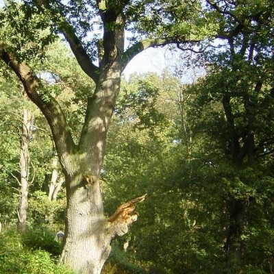 Samen Leren Natuurlijk