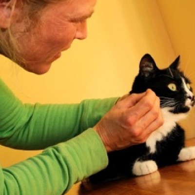 Dierenartspraktijk 2D