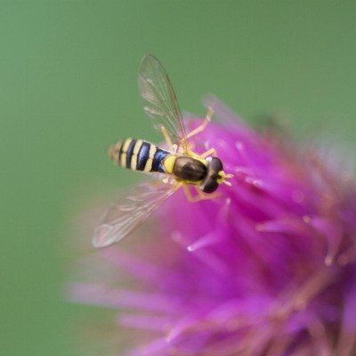 Ontspannen in de natuur met Hubelle