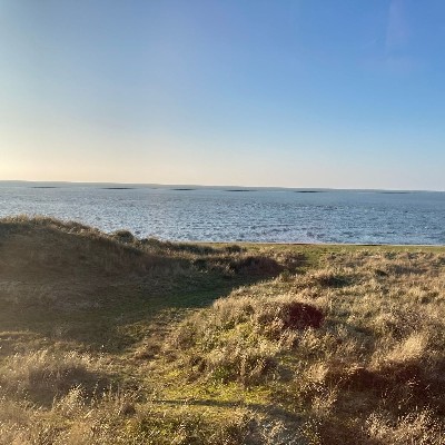 New Nature Coaching & Therapy - Annette Beerens