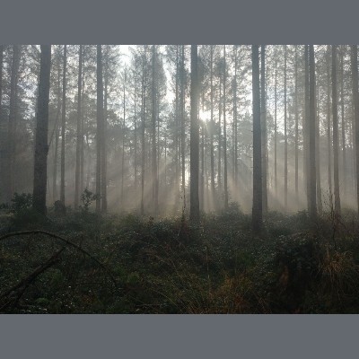 Naar buiten natuurbeleving