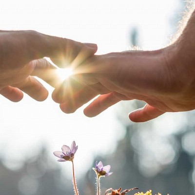 Rijdende Reiki en Zentistic