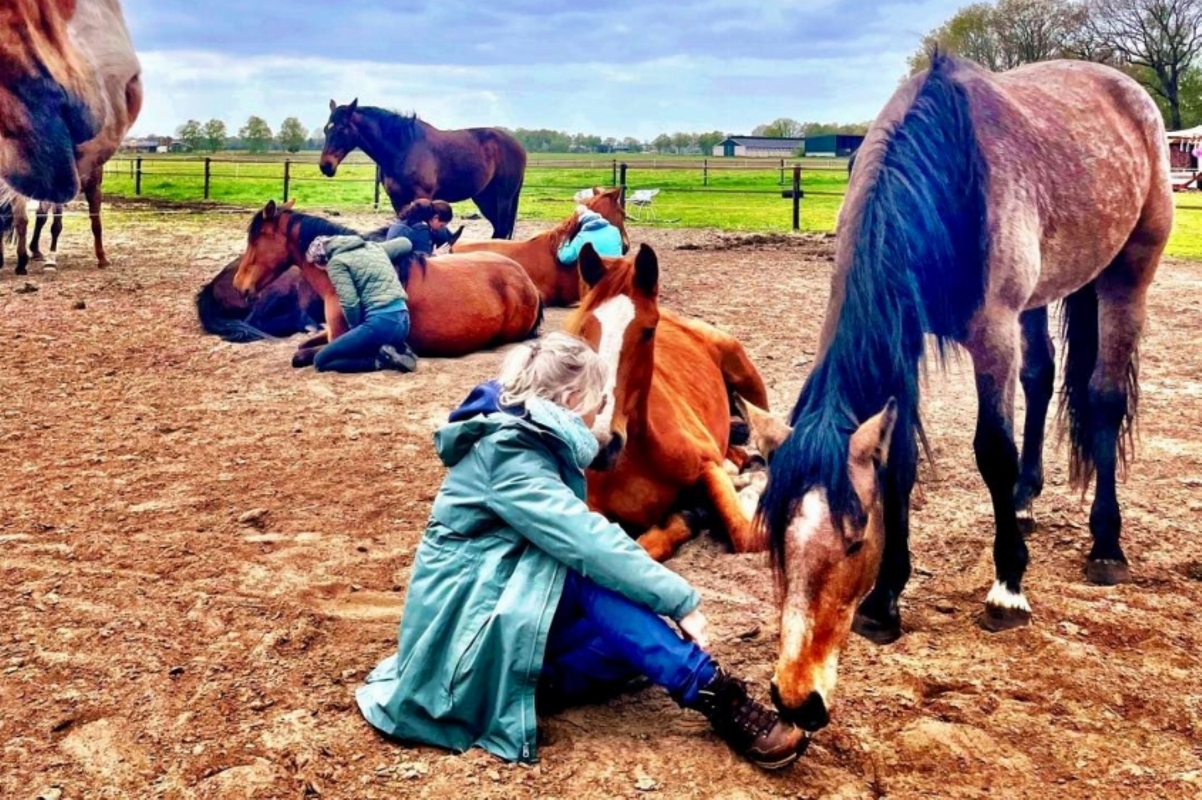 Healing op de haar: Sjamanistische healing, coaching in cohesie met paarden & Guasha therapie